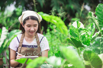 Female farmer using a tablet smiling friendly at the organic vegetable plots inside the nursery.Asian woman Taking care of the vegetable plot with happiness in greenhouse using technology.