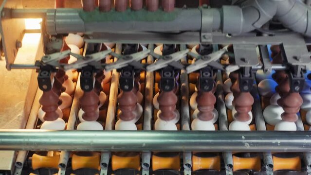The process of sorting chicken eggs with a suction machine based on predetermined size standards.slow motion.4K