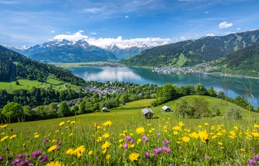 Foto op Plexiglas Idyllic landscape with a flower meadow, snowy mountains and a blue lake, Zell am See, Pinzgau, Salzburger Land, Austria, Europe © auergraphics