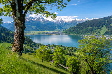 Idyllic summer landscape in Austria, Zell am See, Pinzgau, Salzburger Land, Austria, Europe - obrazy, fototapety, plakaty