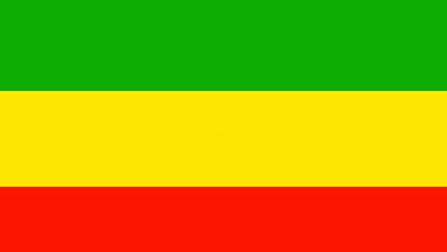 Rasta flag color animated background with the word PEACE flying