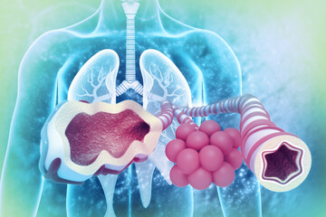 Alveoli in lungs. Cross section. 3d illustration