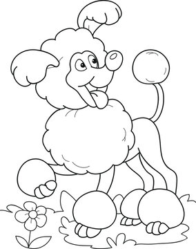 Coloring page outline of cartoon smiling cute poodle dog. Colorful vector illustration, summer coloring book for kids.