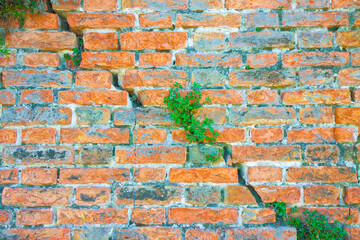 Old brick wall cracked and damaged with a deep diagonal crack