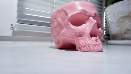 Skull vase on a white background . The concept of the Halloween holiday. Black and white photo