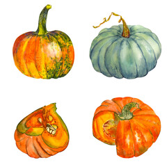 Happy Thanksgiving Pumpkin. Watercolor painting on a white background. Autumn harvest. Vegetarian raw food. Hand drawn watercolor painting on white background