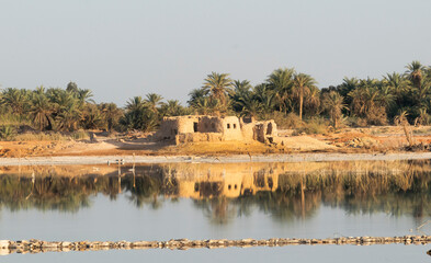 landscape of the river