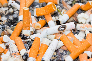 Cigarettes brought together in a cigarette case