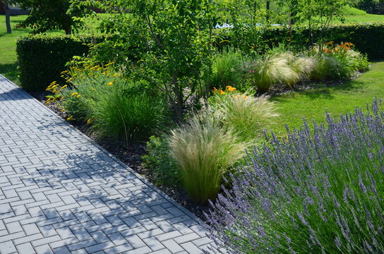 terrace n garden in the park near the park house. stone steps slabs with light stone. On the edge of the wall, blue lavender grows with perennials. lawns and concrete pavers,