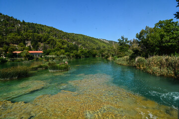Fototapeta na wymiar fiume parco naturale di krka in croazia