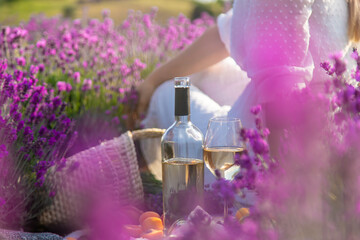 The girl is resting in a lavender field, drinking wine. Selective focus.