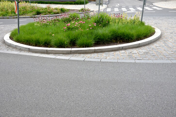 narrow and long petals lie downwards, offering a view of a distinctive, brown-orange central...