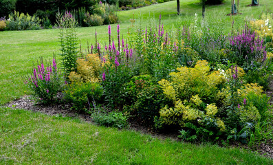 beds of newly planted flowers are planted and mulched with bark. bluebells and cypresses, paths strewn with marble dust twist through the park. supporting granite gabion basket wall