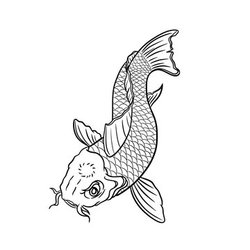 Koi Fish line art