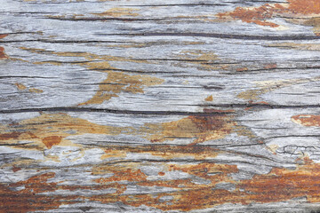 old brown and grey rustic dark grunge wooden texture - wood background square