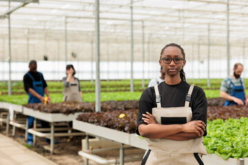 Portrait of confident african american greenhouse worker posing standing next to rows of organic vegetables seedlings. Professional woman standing in hydroponics microgreens plantation.