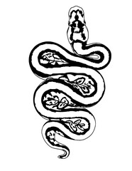 Snake