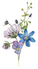 Delicate bouquet with wildflowers, white, purple and blue hues, field greens. Floral, watercolor illustration isolated on white background.