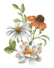 Delicate bouquet with wild flowers, white and orange daisies, field greens. Floral, watercolor illustration isolated on white background.