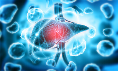 Human liver anatomy on scientific background. 3d illustration..