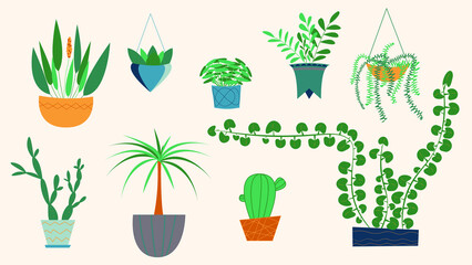 Set of different house plants in pots. succulent, home garden, indoor trees. Vector illustration for interior, botany, home decoration concept