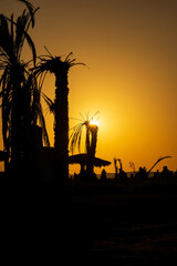 silhouette of a farm