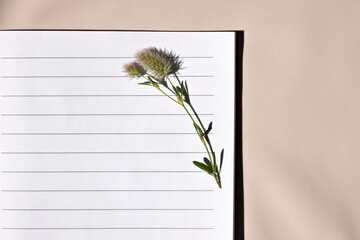 A lined notepad with a clover flower on the page.
Flat lay.