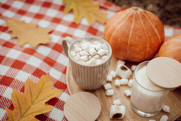 Fototapeta na wymiar Cup of cocoa with marshmallow on wooden table, some pumpkins, aromatic candles around. Beautiful autumn composition