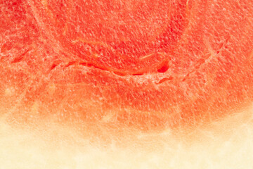 Extreme (micro / macro ) close-up of pink organic watermelon (citrullus Lanatus), showing water glands, natural fiber  and xylem  as wallpaper background