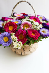 greeting card layout. bouquet of colorful asters and space for text