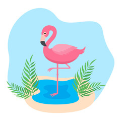 This is a pink flamingo bird on the beach.