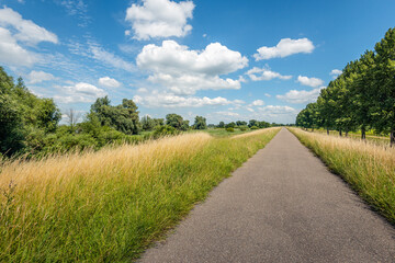 Fototapeta na wymiar Endless long path on top of a Dutch dike. It is a sunny day in summer. Some of the grass has already yellowed due to the drought. The photo was taken in the province of North Brabant.