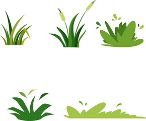 Fototapeta premium Grass Assets Version 2