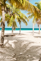 Beach on Barbados