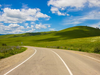 Summer foothill landscape. Green meadow and blue sky with clouds. Altai.