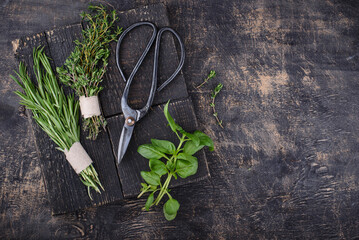 Rosemary, thyme and basil. Fresh garden herbs - obrazy, fototapety, plakaty