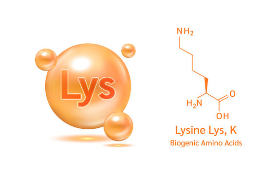 Important amino acid lysine and structural chemical formula and line model of molecule. Arginine blue on a white background. 3D Vector Illustration. Medical and scientific concepts.