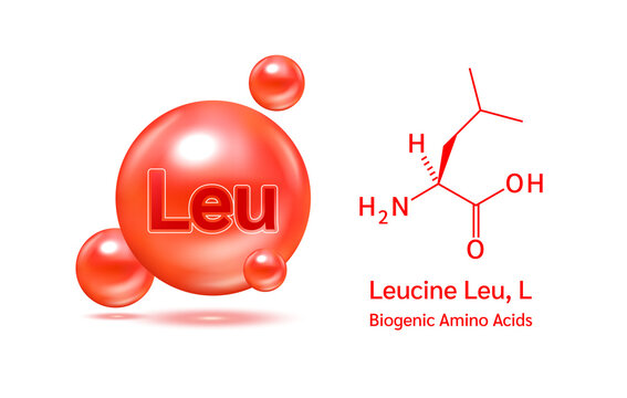 Important amino acid leucine and structural chemical formula and line model of molecule. Arginine blue on a white background. 3D Vector Illustration. Medical and scientific concepts.
