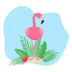 This is a pink flamingo bird on the beach.