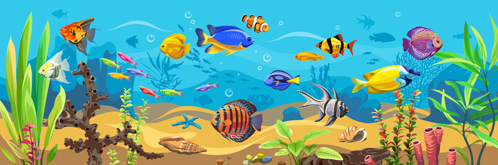 Naklejka na ściany i meble Vector ocean world. Exotic seascape with fish, seaweeds and corals. Aquatic ecosystem. Illustration of underwater life. Undersea bottom.