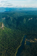 Amazon jungle from above in guyana south america - obrazy, fototapety, plakaty
