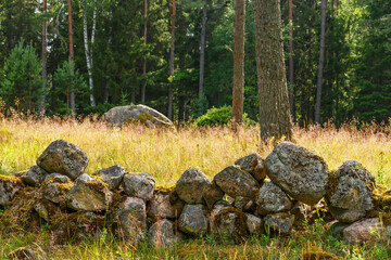 Old stone wall on grass meadow at a forest