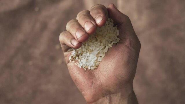 rice in dirty male hands, hunger and poverty concepts. conflict as a cause of hunger. world hunger problem, food shortages and waste, climate change, drought, loss of harvest, war and conflict