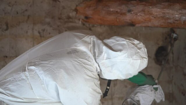 Pest Control Exterminator Spraying Insecticide To Wood Infested By Wood-eating Insects. medium shot