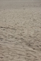 Sand on the beach for background. Brown beach sand texture as background. 
