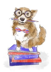 corgi dog wearing glasses