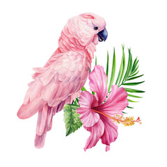 Tropical palm leaves, hibiscus flower and pink cockatoo parrot, isolated white background, jungle watercolor painting