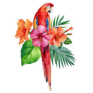 Tropical leaves, hibiscus flower and macaw parrot, isolated white background, watercolor painting, jungle design