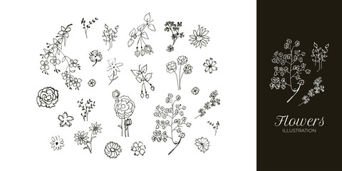 Hand Drawn Flower Illustration Set. Flower and Leaf Illustration for Poster, Wedding, Greeting Card and Invitation Design. Nature Elements Vector