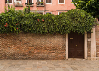Architectural detail of an old charming facade with green plants hanging over in Venice, Italy 